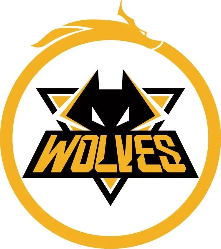 比赛预测： DRILLAS vs. Lynn Vision 在完美世界上海Major 2024亚太RMR